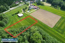 Piękna działka z lasem 44,7 arów - Obrazek 4