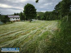 Działka 15 arów Szczepanowice - Obrazek 2