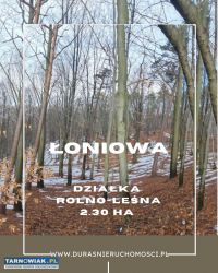 Łoniowa 2,30 ha - Obrazek 1