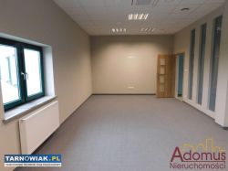 Biuro- 35m2 + Parking - Obrazek 1