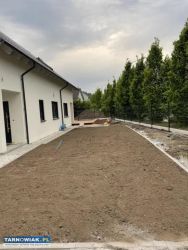 Usługi koparką odwodnienia przyłącza niwelacje - Obrazek 4