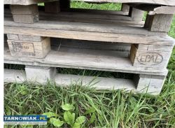 Palety drewniane 120x80 - Obrazek 3