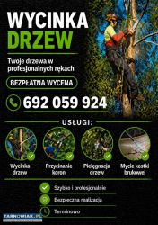 Wycinka drzew przycinanie koron pielęgnacja drzew - Obrazek 1