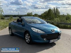 Peugeot 307 cc z 2008r. Przebieg: 168100  1.6 benz - Obrazek 1