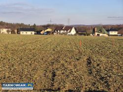 Błonie - budowlana , 9 arów - Obrazek 1