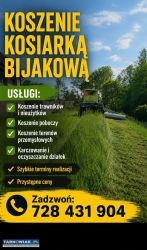 Koszenie trawy, nieużytków, kosiarka, mulczer - Obrazek 1