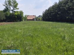 Dom z dużą działką i stawem – Strzelce Wielkie - Obrazek 3