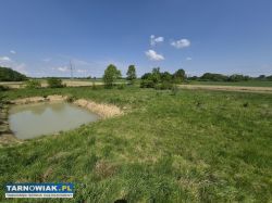 Dom z dużą działką i stawem – Strzelce Wielkie - Obrazek 4