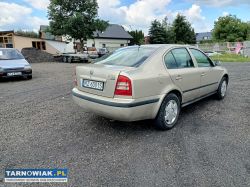 Skoda octavia 1.9tdi 110km 05r - Obrazek 4