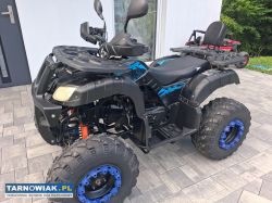Quad 250 - Obrazek 1