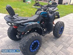 Quad 250 - Obrazek 3