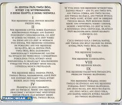 Szukam to roznoszenia Bibli - Obrazek 1
