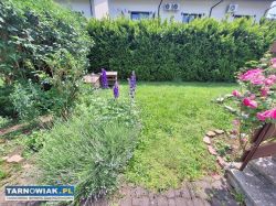 Przytulna kawalerka z ogrodem - Obrazek 4