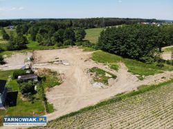 Działka 11 ar Tarnów Krzyż - Obrazek 4
