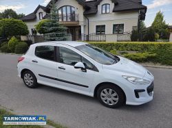 Peugeot 308 1.6 hdi 2010r bez dpf'a i dwumasy !! - Obrazek 2
