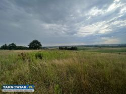 Działka widokowa Łukowa 50ar - Obrazek 2