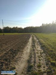 Sprzedam działkę - Obrazek 2