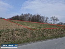 Szynwałd, budowlana, 12 ar - Obrazek 1