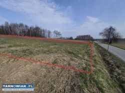 Szynwałd, budowlana, 12 ar - Obrazek 2