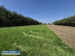 Dom z dużą działką i stawem – Strzelce Wielkie - Obrazek 3