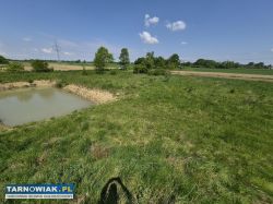 Dom z dużą działką i stawem – Strzelce Wielkie - Obrazek 4