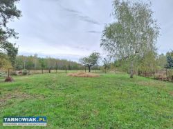 Wierzchosławice - murowany dom na dużej działce - Obrazek 3