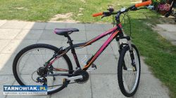 Rower 26 Kellys Vanity alu rama 17 cali bdb stan - Obrazek 1