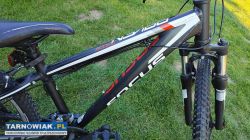 Rower 24 Focus Raven Rookie alu rama 13 cali - Obrazek 3