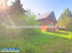 Sieciechowice gm. Wierzchosławice działka 39 arów - Obrazek 1
