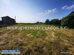 Dom z piękną działką Sieciechowice - Obrazek 3