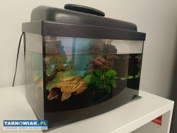 Akwarium z pompką i lampka 40x25x20 - Obrazek 1