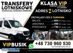 Vipbusik - 9 os. Bus - wesela najem lotnisko - Obrazek 2