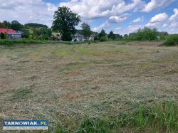 Działka inwestycyjna 49ar prz DW 977 w tym 17arow - Obrazek 3