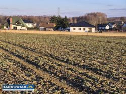Błonie - budowlana , 9 arów - Obrazek 2