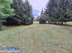 Szynwałd, dom w centrum, działka 42 ary - Obrazek 4