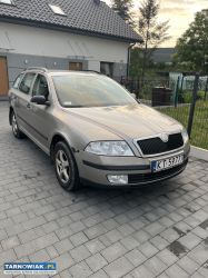 Skoda octavia 1.9 tdi 2008 r. - Obrazek 1