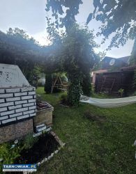 Dzialka ROD Mościce ogródek działkowy - Obrazek 3