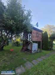 Dzialka ROD Mościce ogródek działkowy - Obrazek 4