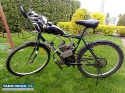 Rower spalinowy 80ccm - Obrazek 1