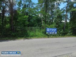 Działka rekreacyjna, Piaski Drużków, 8,38ara - Obrazek 4