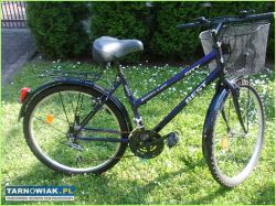 Rower damski Kross City Best. - Obrazek 2