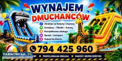 Dmuchaniec Rekin Żyrafa duże 7x4 wys 5m - Obrazek 1