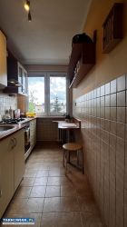 2 pokoje | Centrum Tarnowa | Balkon | Cegła 36.5m2 - Obrazek 2