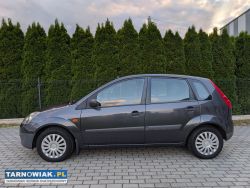 Ford fiesta 1.25 2007r lift niski przebieg 143tys. - Obrazek 2