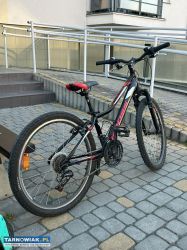 Rower Kross Hexagon Jr - Obrazek 1