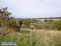 Działka 31 arów – Woźniczna, gmina Pleśna - Obrazek 3