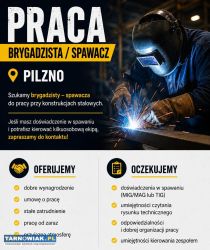 Szukamy brygadzisty – spawacza Pilzno - Obrazek 1
