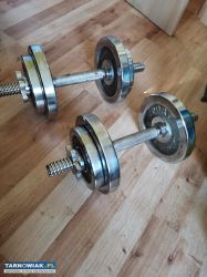 Dwie hantle 2x max 9 kg. DWS Sport - Obrazek 1