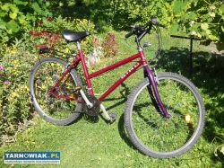 Rowery damskie 26 cali. - Obrazek 4