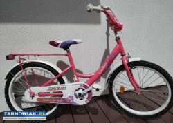 Rower dla dziewczynki 20 cali - Obrazek 1